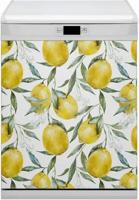 Produktbild von Küche Magnet für Spülmaschine  Abwaschbar 60x80 cm Geschirrspüle  - Bemalt Zitronen