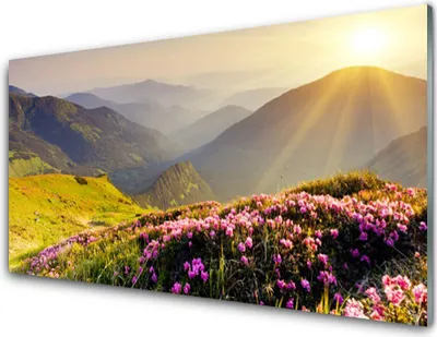 Produktbild von Acrylglasbilder 100x50 Wandbild Druck Gebirge Wiese Landschaft