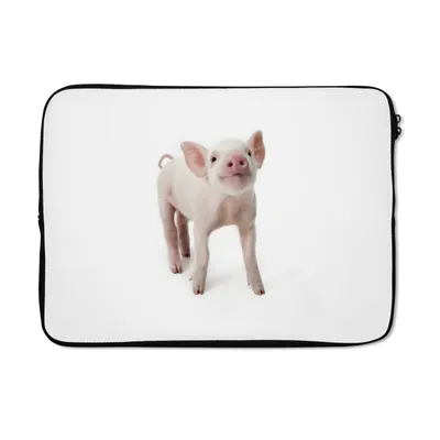 Produktbild von MuchoWow® Laptop Hülle 14 ZollSchwein - Tiere - Weiß Laptoptasche - Laptoptasche - Stoßsicher - Schutzhaube