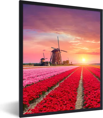 Produktbild von MuchoWow® Gerahmtes Poster Blumen - Windmühle - Tulpen - Sonnenuntergang - Rosa 60x80 cm - Poster mit Schwarzem Bilderrahmen Wandposter Rahmen Foto Bilder - Premium - Wanddeko Wohnzimmer