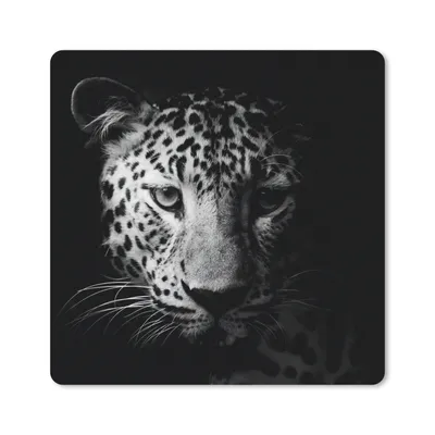 Produktbild von MuchoWow® Mauspad Mousepad Panther - Wildtiere - Schwarz und weiß - Tiere 20x20 cm - Mousepads - Maus Mat - Pad - Mausunterlage - Desk Mat - Bureauartikeln