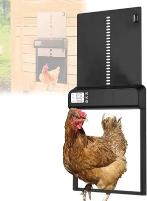 Produktbild von Famanu automatische Hühnerstalltür mit Zeitschaltuhr und LCD-Display - wasserdichter Türöffner für Hühner und Enten