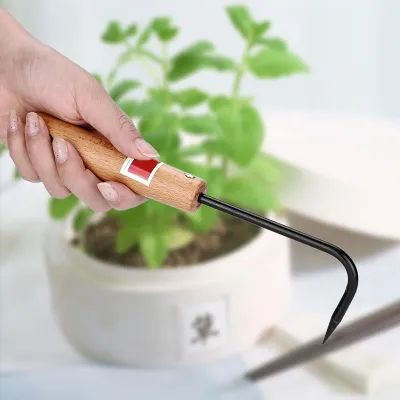 Zdjęcie produktu dla Solidny haczyk do korzeni bonsai z żelaza i buku z wygodnym drewnianym uchwytem – narzędzia ogrodnicze