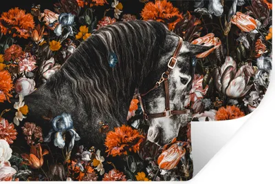 Produktbild von MuchoWow® - Wierderverwendbar - Selbstklebend