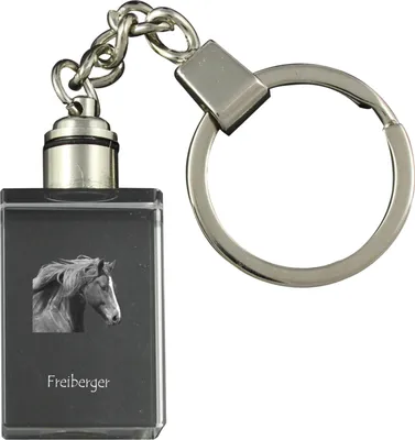 Immagine prodotto di Freiberger portachiavi con cavallo in cristallo Art-Dog