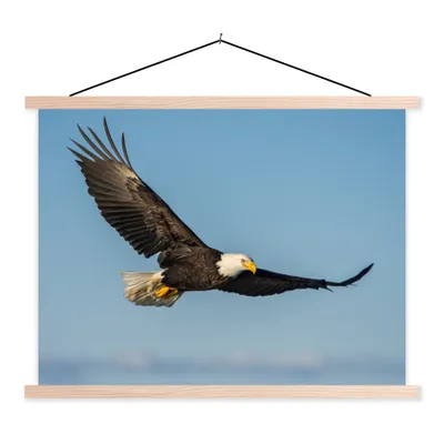 Produktbild von MuchoWow® Textilposter Vogel - Adler - Raubvögel 120x90 cm mit holzfarbenen Rahmen - Magnetisch