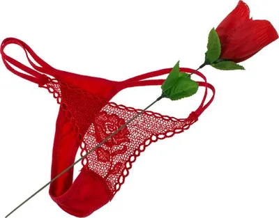 Produktbild von OOTB - Höschen in Rose - 4029811158034