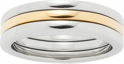 Produktbild von Damenring Astratto Leonardo aus Edelstahl, teilvergoldet 17mm