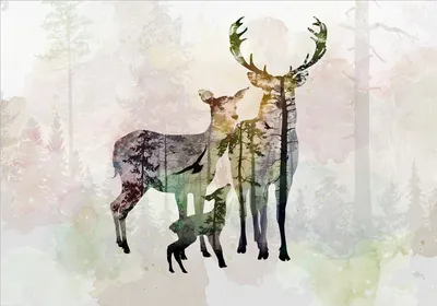 Produktbild von Vlies Fototapete Hirsch 450x315 cm Tapeten Wandtapete XXL Tiere Reh Wald Natur g-C-0275-a-a