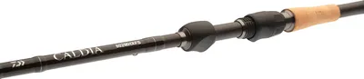 Produktbild von Daiwa Steckrute Caldia Spin Länge 3,10m Wurfgewicht 7-35g