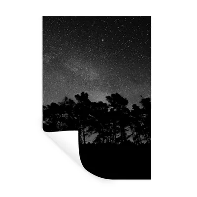 Produktbild von MuchoWow® Wandtattoo Wandsticker Wandaufkleber Sternenhimmel - Wald - Himmel - Schwarz - Bäume 80x120 cm Selbstklebend und Repositionierbar - Repositionierbar - Wasser abweisend