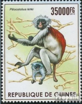 Produktbild von Briefmarken Guinea 2015 Mi 11292 (kompl. Ausgabe) postfrisch Gefährdete Spezies