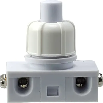 Produktbild von Einbau Druckschalter mit Schraubkontakten für Lampen und Geräte 250V 2A weiß