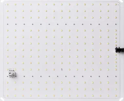 Produktbild von PACKSAUS® HYDRO 600D Growzelt 100x100x200cm Anzucht Komplettset: Umfassendes LED Grow Tent Kit, inkl. Belüftungssatz für den Indoor-Anbau-Gewächshaus