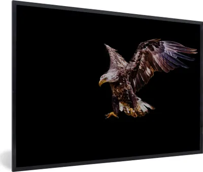 Produktbild von MuchoWow® MuchoWow® Gerahmtes Poster Adler - Vogel - Federn 90x60 cm - Poster mit zchwarzem Bilderrahmen - Fotorahmen - Foto-Plakat