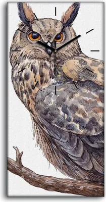 Produktbild von Wanduhr Bürouhr Leinwand Bild Geräuschlos 30x60 Malerei Tier Vogel Kauz Zweig - schwarze Hände
