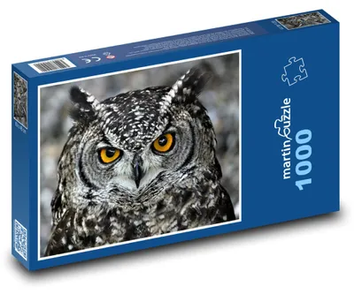 Obrázek produktu pro Puzzle 1000 Sova s pronikavýma očima - martinpuzzle