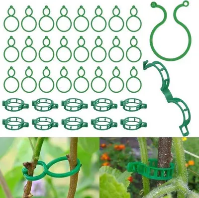 Produktbild von Famanu Pflanzenclips 300 Stück - wiederverwendbare Klemmen für Blumen, Gemüse und Tomaten