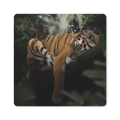 Produktbild von MuchoWow® Mauspad Mousepad Tiere - Tiger - Dschungel 20x20 cm - Mousepads - Maus Mat - Pad - Mausunterlage - Desk Mat - Bureauartikeln