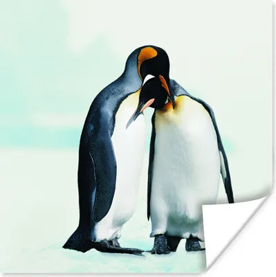 Produktbild von MuchoWow® Poster Pinguine - Schnee - Familie 100x100 cm - Babyzimmer