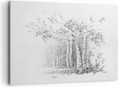Produktbild von Bild auf Leinwand - Leinwandbild - Einteilig - Skizze Wald Birke - 120x80cm - Wand Bild - Wanddeko - Wandbilder - Leinwanddruck - Bilder - Wanddekoration - Leinwand bilder - Wandbild - AA120x80-4280