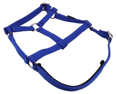 Führstrick mit Panikhaken und Halfter für Pferde, blau