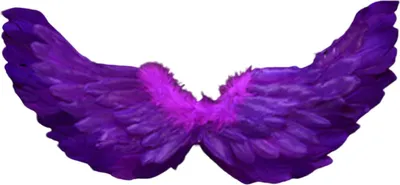 Produktbild von Engel Federflügel mit elastischen Trägern helle Farbe Leichtes Kostüm Cosplay Wings Photography Requisiten-Lila