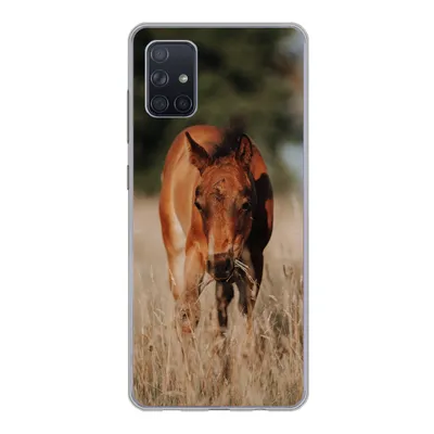 Produktbild von MuchoWow® Handyhülle Schutzhülle Hülle für Samsung Galaxy A71 Pferd - Sonne - Landschaft Silikon Softcase Handy Hülle - Kartenbesitzer