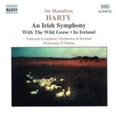 Produktbild von O Duinn, P: Irish Symphony/With The Wil
