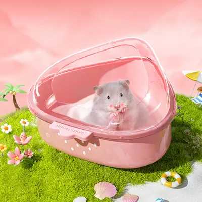 Image de Bain pour hamster avec pelle et sable, idéal pour les petits