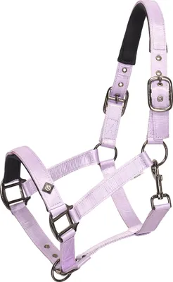 Image de Licol IRHRebel wisteria Pony