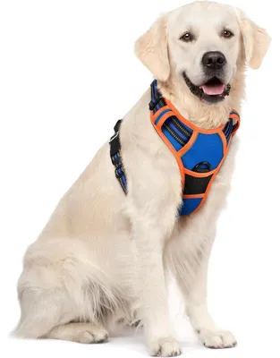 Image de Harnais pour chien anti-traction avec contrôle, réglable, respirant, avec bandes réfléchissantes, bleu et orange, taille XL