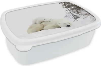 Produktbild von KitchenYeah® Lunchbox Brotzeit Brotdose 17x11 cm Eisbär - Schnee - Baum Kinder Brotzeitdose - Lunch Box - Kinder - Sandwich-Box - Schulbox - Lunch Boxen