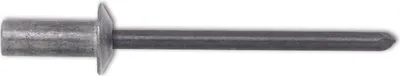 Produktbild von Dichtnieten Flachrundkopf 4,8x16 ISO15973 - Nieten Aluminium mit Stahldorn