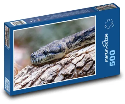 Obrázek produktu pro Puzzle 500 Had na kůře stromu - martinpuzzle