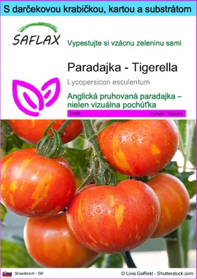 Obrázok produktu pre SAFLAX Darčeková sada - Paradajka - Tigerella - Lycopersicon esculentum - 10 Semená - S darčekovou krabičkou, prepravným štítkom, darčekovou kartou a pestovateľským médiom