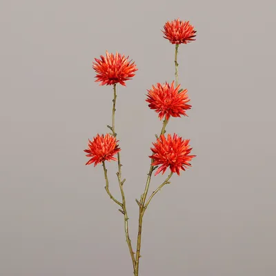Produktbild von künstliche Strohblume orange rot H. 67cm DPI Kunstblumen