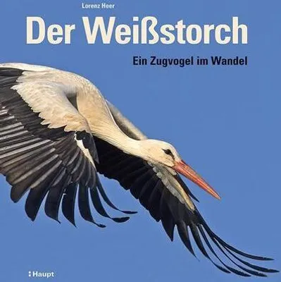 Image de Der Weißstorch
