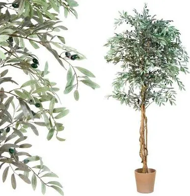 Zdjęcie produktu dla Drzewko sztuczne dekoracyjne - oliwne z oliwkami 180 cm