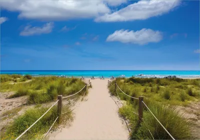Produktbild von Wallario selbstklebendes Poster - Sandweg zum blauen Meer mit blauem Himmel, Größe: 70 x 100 cm