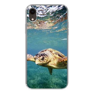 Produktbild von MuchoWow® Handyhülle Schutzhülle Hülle für iPhone XR Schildkröte - Wasser - Blau Silikon Softcase Handy Hülle - Schutzdeckel