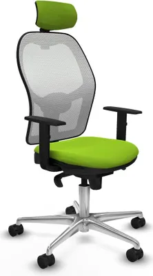 Produktbild von Bürostuhl Piqueras y Crespo 1D086N2 Pistazienfarben