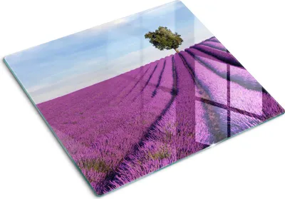 Produktbild von Glasplatte zum Schutz der Kochfläche – Abdeckung für die Kochplatte – Abdeckung für Induktionskochfelder – 60x52 cm – Einfache Reinigung – Gehärtetes Glas – Lavendelfeld