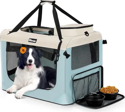 Reerooh Tiertasche 70x52x52cm, Faltbare Tiertasche für Hunde und Katzen , mit 2 faltbaren Schüsseln (L, Blau und weiß)