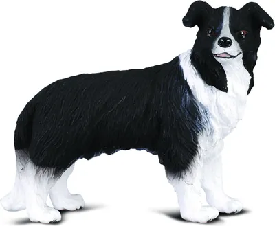 Zdjęcie produktu dla Collecta 88010 Border Collie 7 cm psy i koty