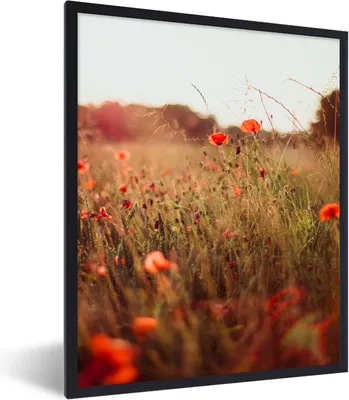 Produktbild von MuchoWow® Gerahmtes Poster Sonnenuntergang - Blumen - Rot 60x80 cm - Poster mit Schwarzem Bilderrahmen Wandposter Rahmen Foto Bilder - Premium - Wanddeko Wohnzimmer