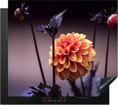 Produktbild von KitchenYeah© Herdabdeckplatte Blumen - Chrysantheme - Makro - Pflanzen , 60x52cm, Küche Deko, Glaskeramikkochfeld Herdabdeckung, Abdeckplatte fùr Kochfeld