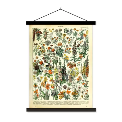 Produktbild von MuchoWow® Textilposter Blumen - Pflanzen - Vintage - Adolphe Millot - Kunst 40x53 cm mit schwarzem Rahmen - Abbildung