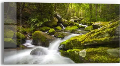 Produktbild von DEQORI Glasbild Echtglas 60x30 cm 'Sattgrüne Waldkulisse' Wandbild Bild modern Deko