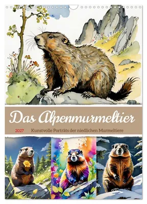 Produktbild von Das Alpenmurmeltier (Wandkalender 2027 DIN A3 hoch), CALVENDO Monatskalender
